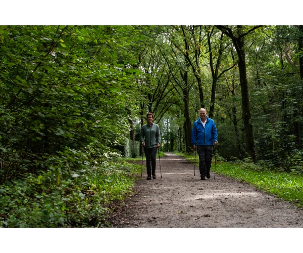 3 niveaus aangeboden: